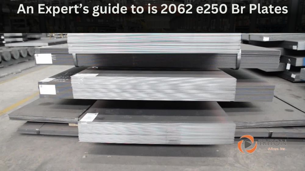 An Expert’s guide to is 2062 e250 Br Plates